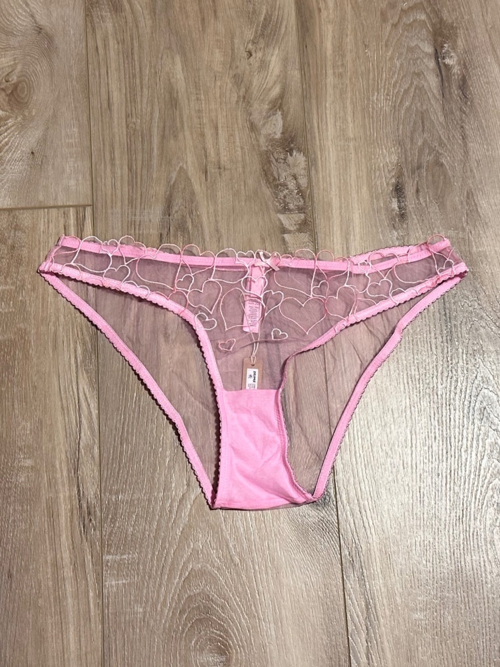 SKIMS Embroidered Tulle Bikini Brief - NWT
